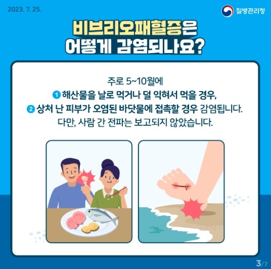 전남도, 어패류 익혀먹기 등 비브리오...