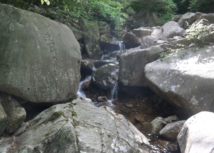 전남도, ‘장흥 장천동과 팔경 암각문’ 자연유산 지정