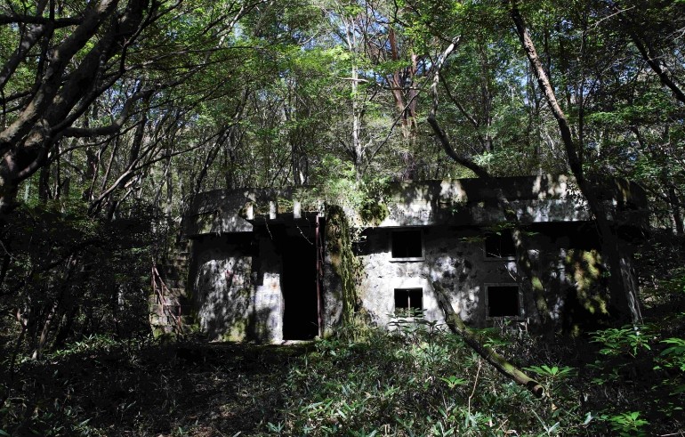 산림청, 2025년 국가산림문화자산 신규 지정