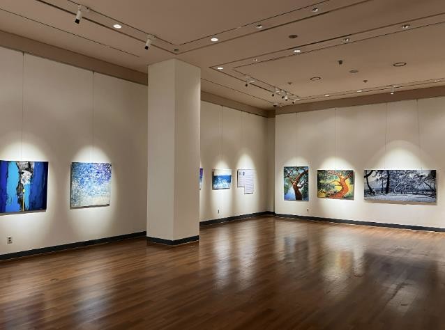 수원박물관, 현대미술 전시 