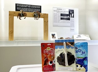 인천시, '바다의 꽃, 게 섰거라' 특별전 관람 후기 이벤트 운영