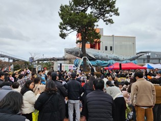 제107주년 삼일절 고래문화특구 1만 3천여 명 방문 ... 대한독립 만세 물결로 가득