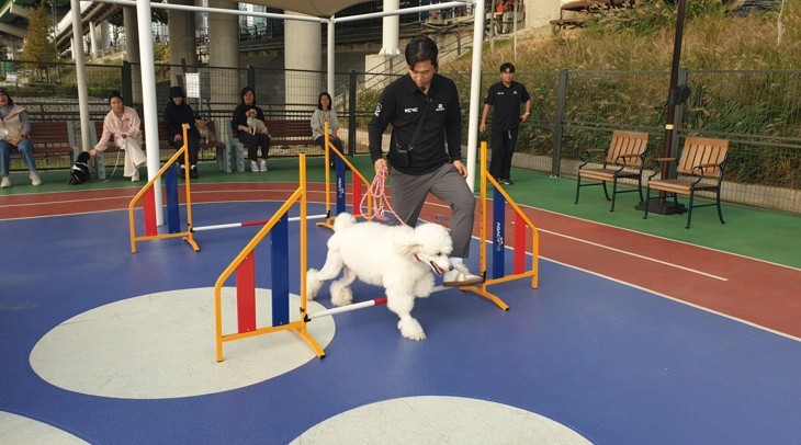 금천구, 반려견과 ‘동네방네 Happ...