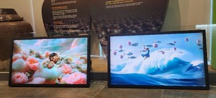 제25회 광양매화축제, 찾아가는 미디어아트전 '호평'