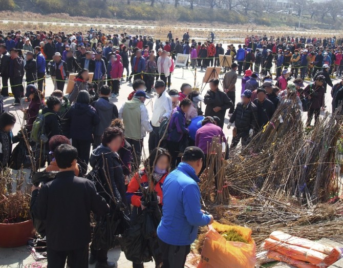 청주시, 식목일 기념 나무 나누어주기...