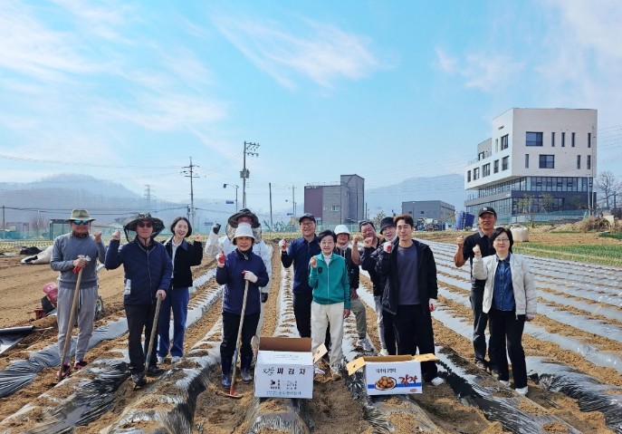 이천시 관고동 자유총연맹, 감자 식재...